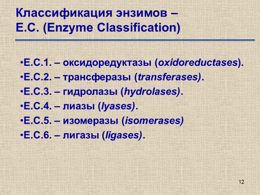 12 Классификация энзимов – Е.С. (Enzyme Classification) Е.С.1. – оксидоредуктазы (oxidoreductases). Е.С.2. – трансферазы